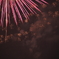 DPP_3005