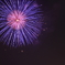 DPP_3006