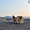 ふう・・・