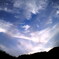 夕照に舞うベール