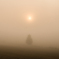 Morning fog