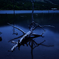 湖畔のアート