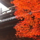 南禅寺