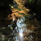 ripple