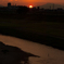 夕陽を見つめる白鷺