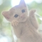 こんにちは！
