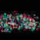 Colours in dark night