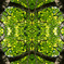 「四季」Natural beauty psychedelic