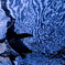 blue ocean
