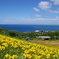 オーンズ春香山ゆり園