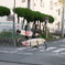 DSCN9903