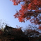 修禅寺に行ってきました①