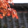 修禅寺に行ってきました②