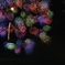夜の花