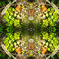 「四季」Natural beauty psychedelic