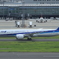NH787-9