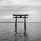 白鬚神社 湖中大鳥居