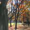 Scenery with suntrap