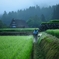 世界遺産の片隅で　夏の草刈り編