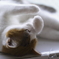 猫の手２