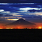 真夏の夜の夢