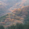 山の紅葉