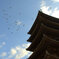 五重塔