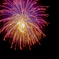 夏を彩る花火