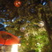 川越氷川神社