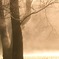 _C069002_edited-2