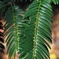 20071205_06