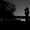 backlight