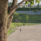 play catch