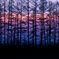 Silhouette of sunset