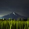 夏山の灯火。