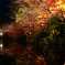 紅葉と池