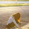 やさしい光に包まれて…（綺麗なお姉さん　その１１）
