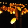 月の夜の燈
