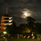 月夜の興福寺五重塔