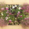 flower campus