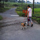 SNAP-DP2Q0252