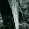 めがね橋