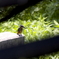 _DSC0014_DSC00143008,0200200080704120609