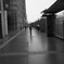 DSC03986