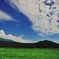 のびやかな夏雲
