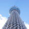空高く