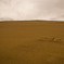desert1
