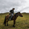 Ford with a horse.