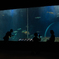 水族館