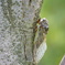 DSC00846